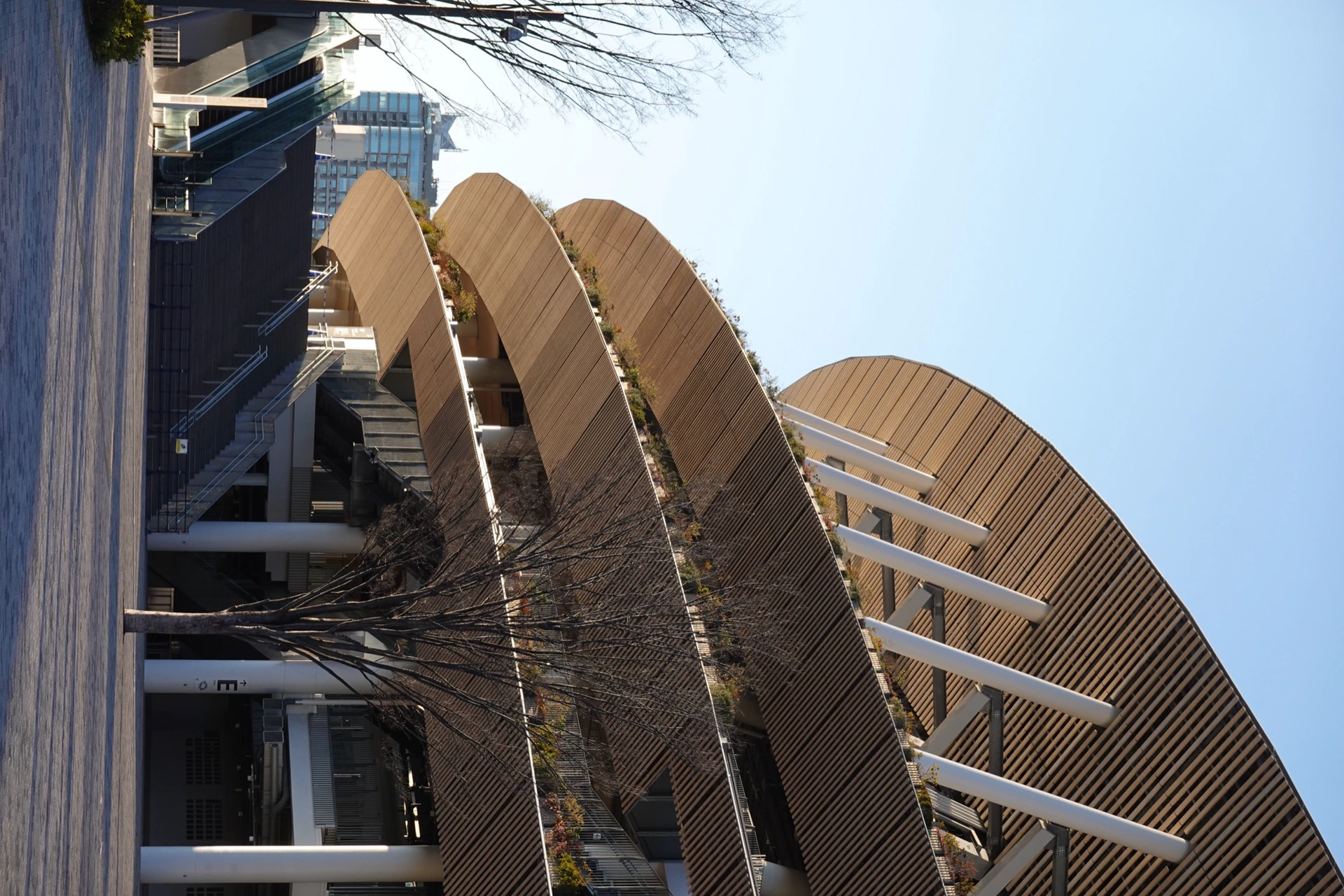 The sweeping exterior of the Japan National Stadium in Tokyo.