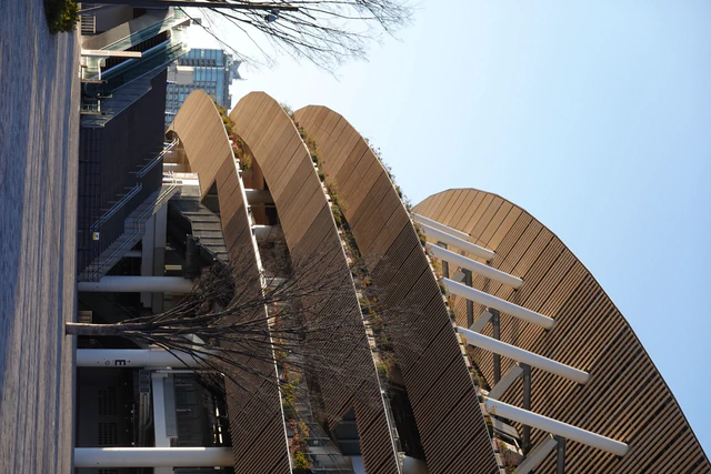 The sweeping exterior of the Japan National Stadium in Tokyo.